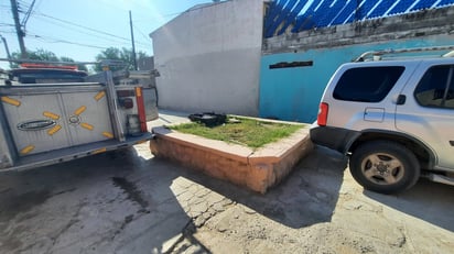 monclova: Este problema se tiene en todos los paseos.