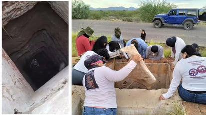 Madres Buscadoras rescatan restos óseos de dos pozos en Sonora