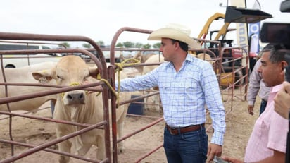 Sementales de toro mejoran la genética del ganado de Coahuila