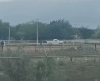 Camioneta arrastra presuntamente un becerro vivo en Monclova