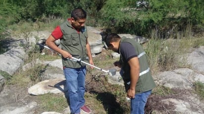 Se registraron 100 casos de dengue en la SSA de la región, sin decesos ni hospitalizaciones