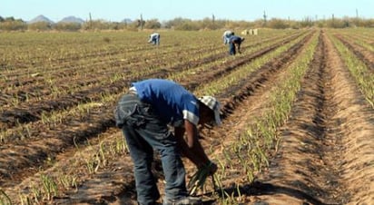 Existe un amplio rezago en escrituración de los ejidos