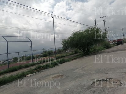 salud: Debido a la humedad por las lluvias, se cree puede aumentar contagio de dengue.