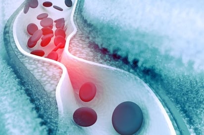 SALUD: Se puede hacer más para limitar las exposiciones diarias a estos metales, señalan los investigadores

