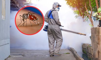 monclova: Han emitido una serie de recomendaciones para prevenir la propagación del dengue. 