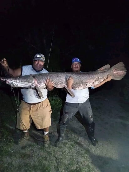 El Catán: Un 'fósil viviente' que sigue surcando en el Río Bravo