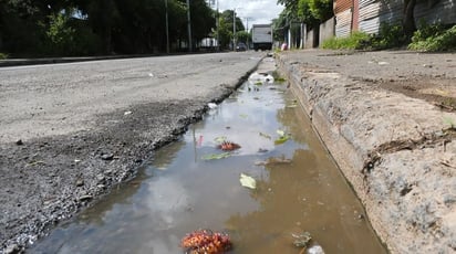 Salud : Suman 20 casos de dengue en la región centro; aumentan preocupaciones tras los primeros decesos en áreas cercanas.