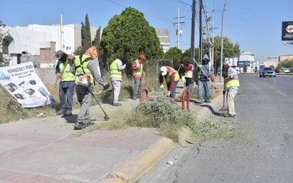 región: Son entre 50 y 80 reportes diarios de “vecinos cochinos”. 