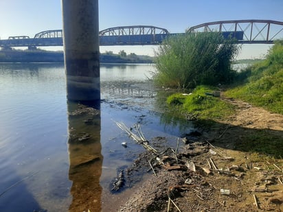 Piedras Negras : Se observan algas y maleza en la ribera, dando un aspecto sucio y aguas turbias.
