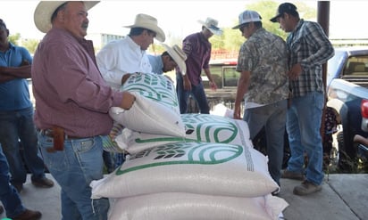 REGION: Un total de 20 toneladas de semilla de avena se entregó