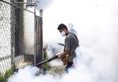 Salud: Casos de dengue en Piedras Negras se encuentran controlados