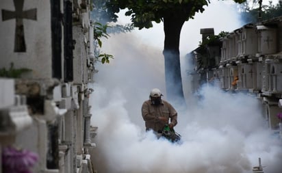 SALUD: Las defunciones por dengue se han concentrado en 19 estados del país

