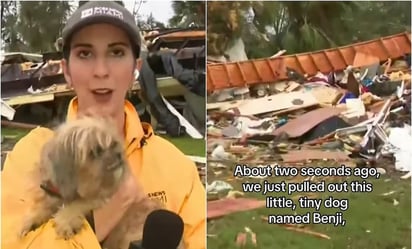 Reportera rescata a perrita en vivo tras paso de Huracán Milton en Florida