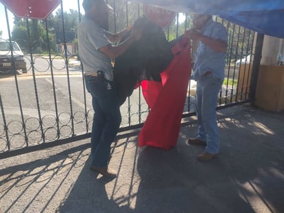 UAAAN: Fin de la huelga en la Universidad Autónoma Agraria Antonio Narro y regreso a clases