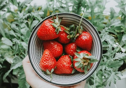 SALUD: Este fruto tiene una serie de fitonutrientes que pueden promover la salud