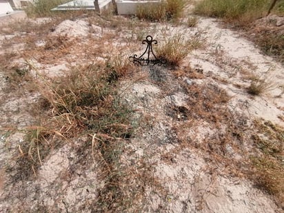 Algunas tumbas están abandonadas desde años