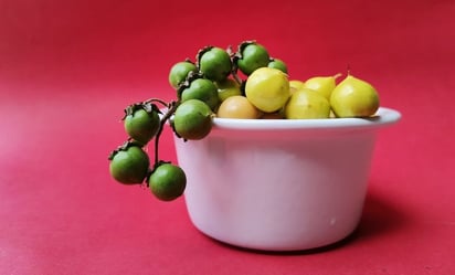 Alimentación: El nanche: Una pequeña fruta con grandes beneficios nutricionales