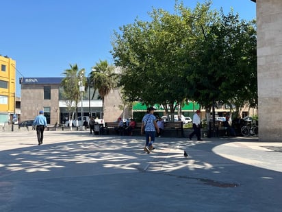 Cuadrillas podan árboles secos en la plaza principal para reponerlos