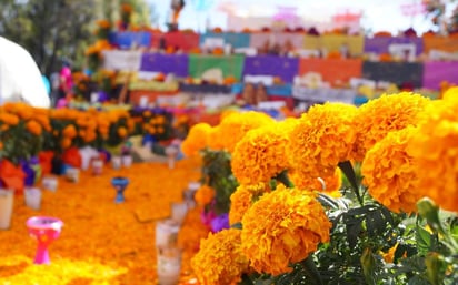 Día de Muertos 