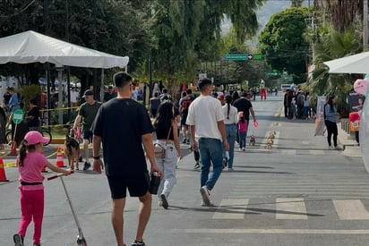 Halloween llega mañana al Paseo Colón con actividades para las familias