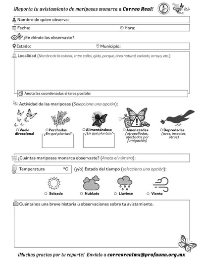 Mariposa monarca: Se solicita a los ciudadanos enviar evidencias en caso de percibir mariposas de esta especie.