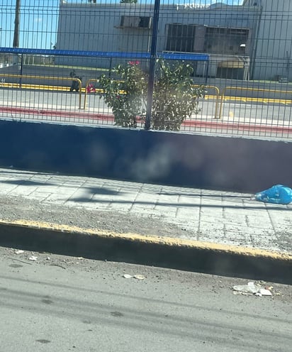 Monclova: Entre los desechos comunes se encuentran bolsas de plástico, botellas, envolturas y restos de comida.