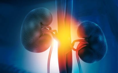 SALUD: La semaglutida parece proteger contra la enfermedad renal en personas obesas

