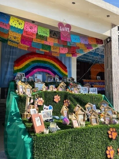 Día de Muertos: Se contempla superar la cantidad de 900 fotografías este dos de noviembre, incluyendo mascotas. 