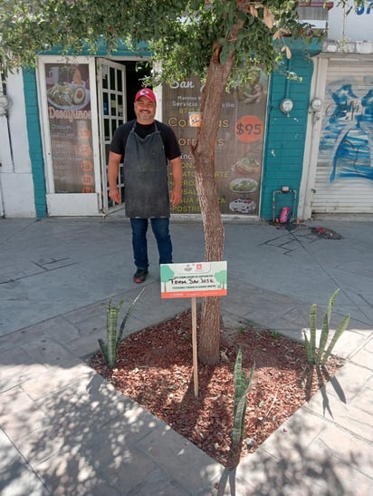 adopta tu jardín urbano