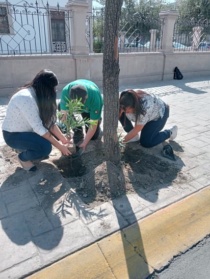 adopta tu jardín urbano