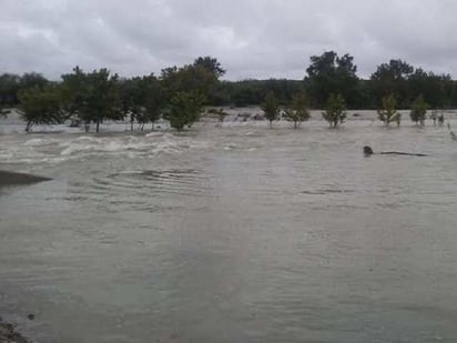 Tormenta en Sierra del Burro recarga cuatro ríos, presas y acuíferos