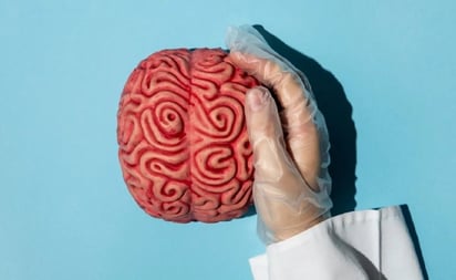 SALUD: Un accidente cerebrovascular ocurre cuando hay una interrupción en el flujo sanguíneo al cerebro 