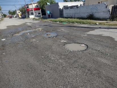 Denuncia: Los vecinos temen que la falta de acción pueda generar una crisis de salud pública en la colonia.
