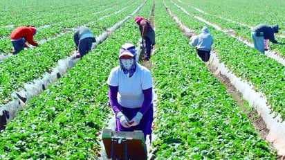 ¿Cómo sería un día sin inmigrantes en Estados Unidos?