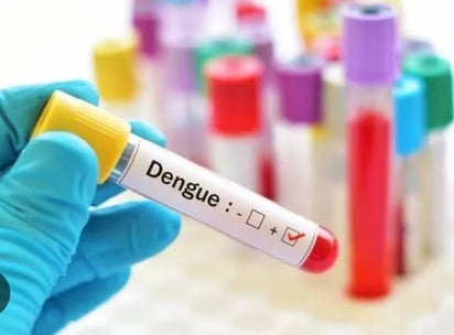 pruebas dengue : Los tipos de dengue que existen son el clásico, que tiene 3 variantes, y el hemorrágico