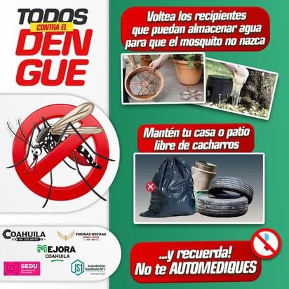 Dengue : Campañas informativas y acciones sanitarias contra el dengue
