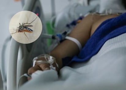 Dengue : Las muertes por dengue se distribuyen en diversos municipios, con Torreón liderando
