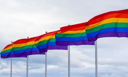  LGBTI+: Trump obtuvo un abrumador apoyo de los votantes en esta elección, pero este no provino de este colectivo