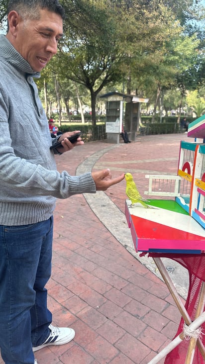 Pajaritos de la suerte: Panchito, un canario de un año y medio, fue entrenado con paciencia para sacar las tarjetas del destino.