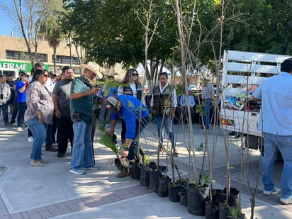 Medio Ambiente: Quienes realizaron la petición de árboles recibieron un boleto para poder se beneficiarios.