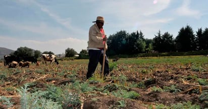 Presupuesto Federal: El presupuesto federal para el campo no contempla aumentos.