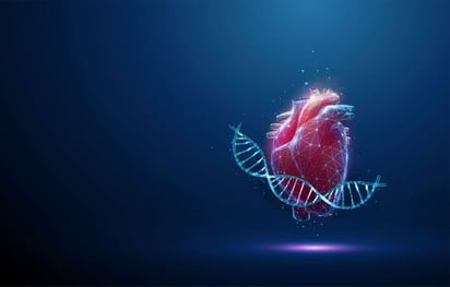 SALUD: La investigación podría sentar las bases para una forma completamente nueva de predecir el riesgo cardiaco

