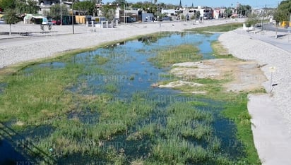 río monclova veneros: Desde hace un mes que se ha visto acumulación de agua en el río y se debe al brote de \'ojitos\' de agua.