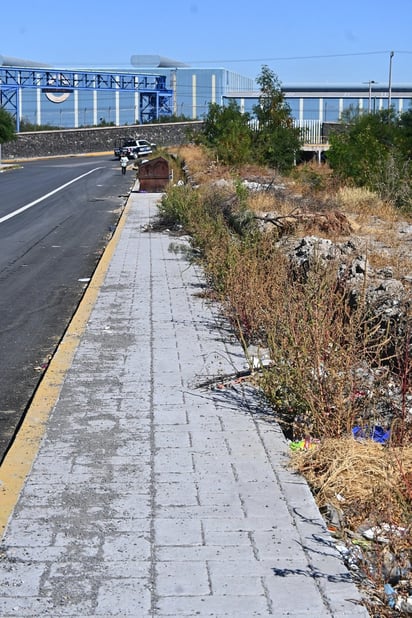 Los ciudadanos descuidan el bulevar Obrero Unido