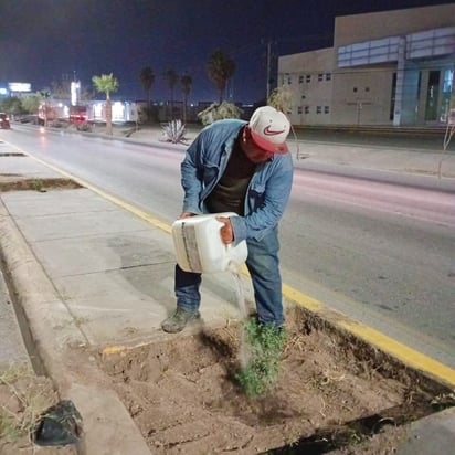 Giro Independencia: Fernando Villarreal Cuéllar precisó que estas actividades se realizan como parte de la conclusión de la obra. 