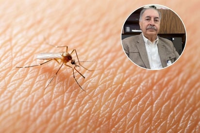 Dengue : Monclova es el municipio con más pacientes. 