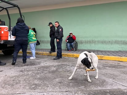 policiaca: Las personas se acercaron con gusto por si pieza de pan.