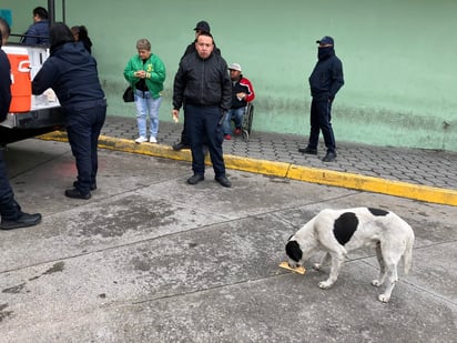 policiaca: Las personas se acercaron con gusto por si pieza de pan.