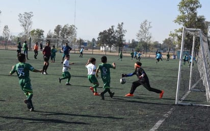 Olimpiada Escolar: Se buscan futuros deportistas para darles seguimiento en competencias posteriores.