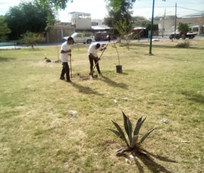 reforestación : Dentro de estas acciones, se han plantado un total de 80 árboles. 